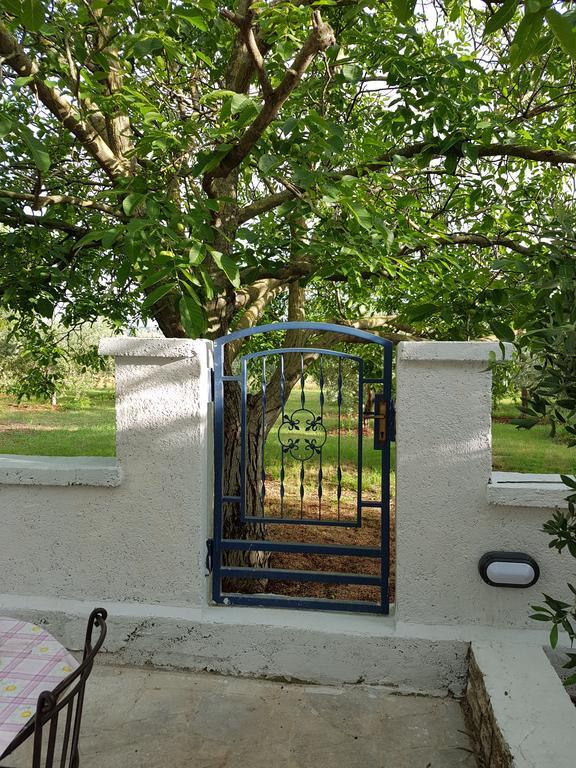 Villa Rosa With Yard And Children'S Playground Tar-Vabriga Zewnętrze zdjęcie