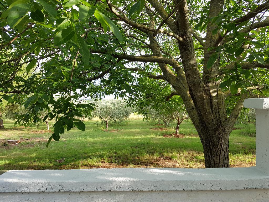 Villa Rosa With Yard And Children'S Playground Tar-Vabriga Zewnętrze zdjęcie
